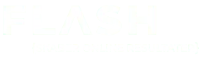 flash online marketing.png
